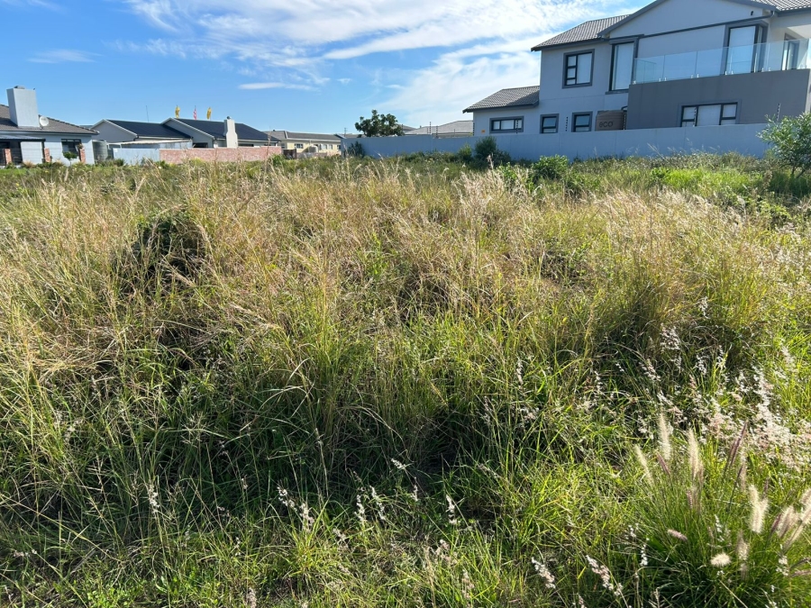 0 Bedroom Property for Sale in Fountains Estate Eastern Cape